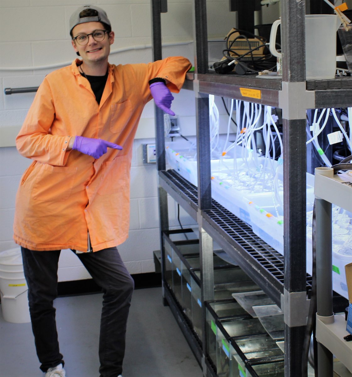pnwmicroplastic's tweet photo. When asked about his work he said, “Especially in the context of climate change we don’t know much about microplastic effects on aquatic organisms. I study their impact on uptake, growth, and swimming behavior of mysid shrimp in combination with different temperature treatments.” https://t.co/qdvETb3FEn