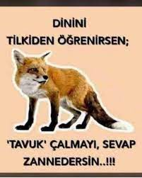 Rahipp20's tweet photo. @ProfDemirtas https://t.co/OpqD5AFOw9