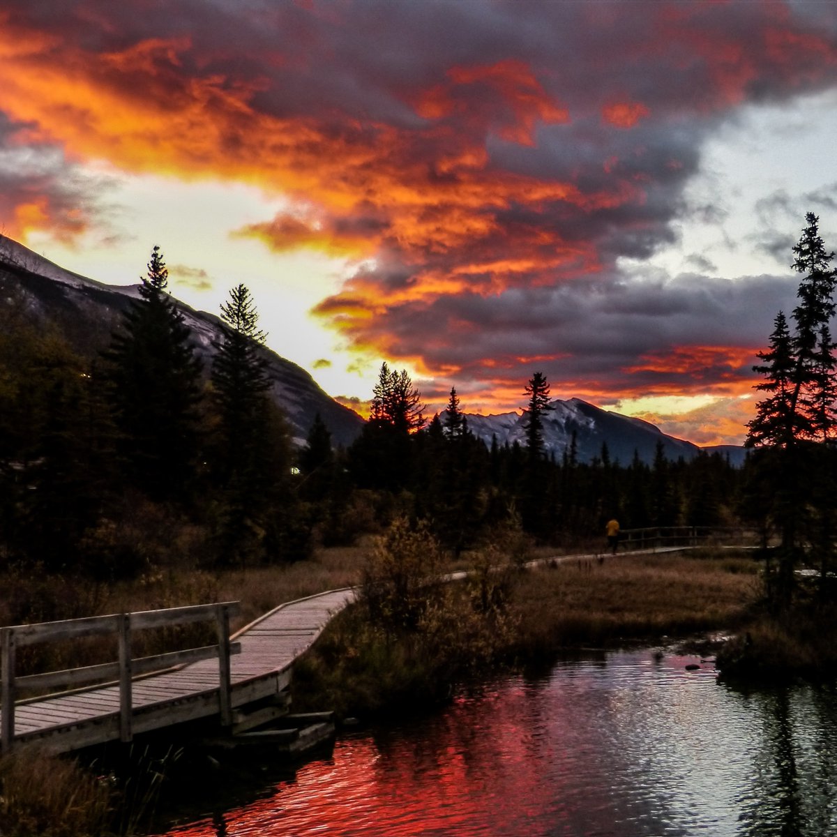Who would you love to sit here and watch the sunset with?

📍Policeman's Creek, Canmore AB
📸 Kym Mackinnon

#visitcanmore #canmorealberta #canmorelife #explorecanmore #kananaskis #canmorekananaskis