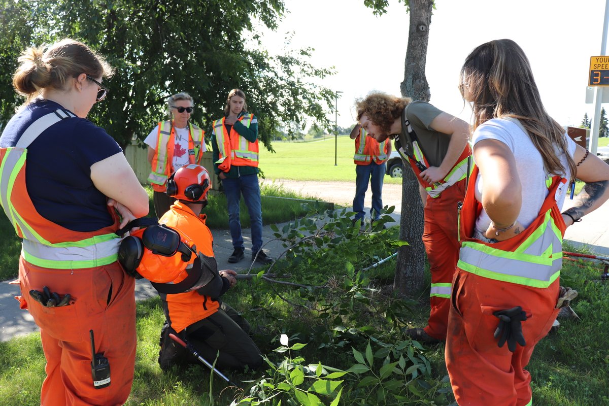 Our parks crews have been keeping busy this season!

In between all the regular mowing, watering, and pruning, 30 trees were recently planted in the Devonian Business Park, and today the horticulture crew took part in a tree pruning training!

Thank you parks!