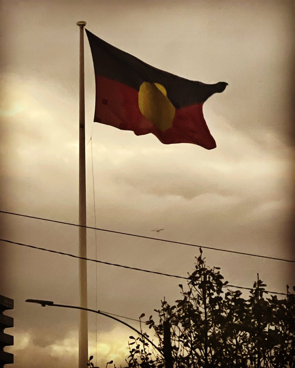 Ej Cubillo tweet media