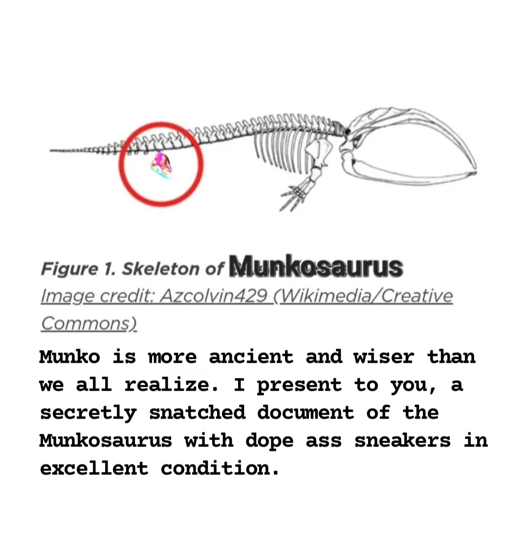 notesone's tweet image. Hey @BobbyTrivia the @munko family mentioned u may know about the Munkosaurus w/impeccable kicks? Pls help, I MUST know more.
Thanks for lookin &amp;amp; pls share if possible 💥👊🏽❤️