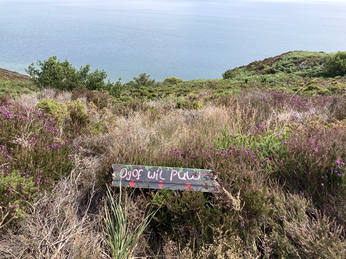 Taith gerdded ar hyd yr arfordir i 97 o ddisgyblion heddiw. Gosod arwyddion ar gyfer #Cofnod2023 ar y daith. Diolch <a href="/huwselin/">elin huws evans</a> am y trefniadau a’r arwyddion!