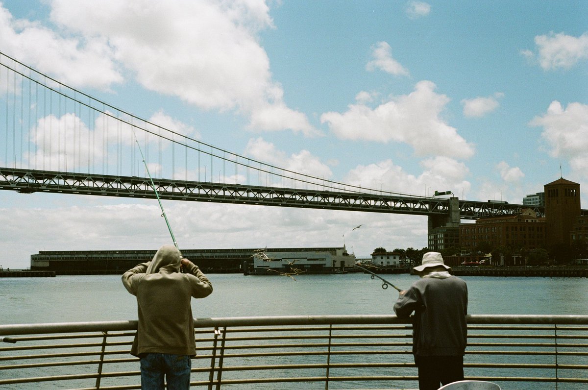 chrisdoesphotos's tweet photo. Day 3 of posting a photo a day till I reach 3 followers. #dreamsmall #35mm #filmphotography #photography #SanFrancisco https://t.co/ibjuqLjGop