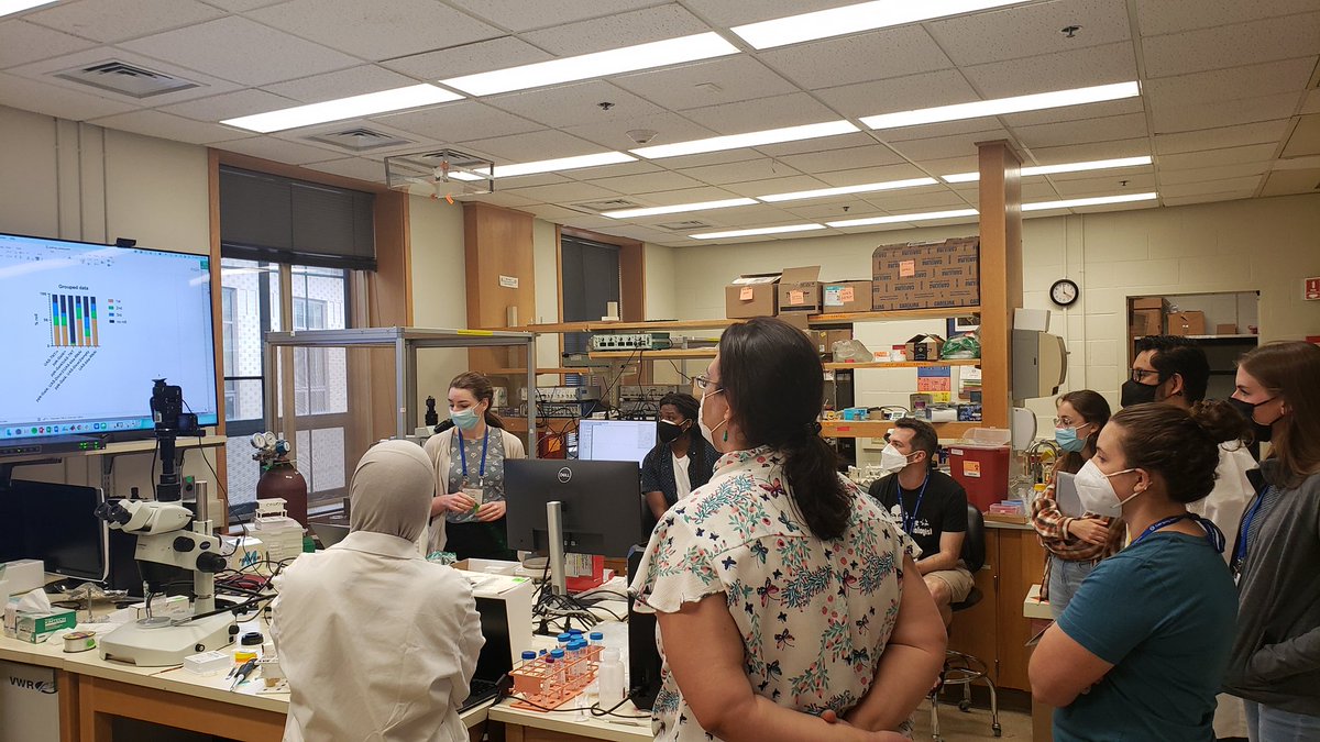 devbiojake.bsky.social (@devbiojake) on Twitter photo Lots of rolling larvae! Successful nociception lab with Lydia from the lab of <a href="/Hoosierflyman/">Dan Tracey</a> #cshlfly22 <a href="/CSHLflycourse/">CSHLflyneurocourse</a> Lots of rolling larvae! Successful nociception lab with Lydia from the lab of <a href="/Hoosierflyman/">Dan Tracey</a> #cshlfly22 <a href="/CSHLflycourse/">CSHLflyneurocourse</a>
