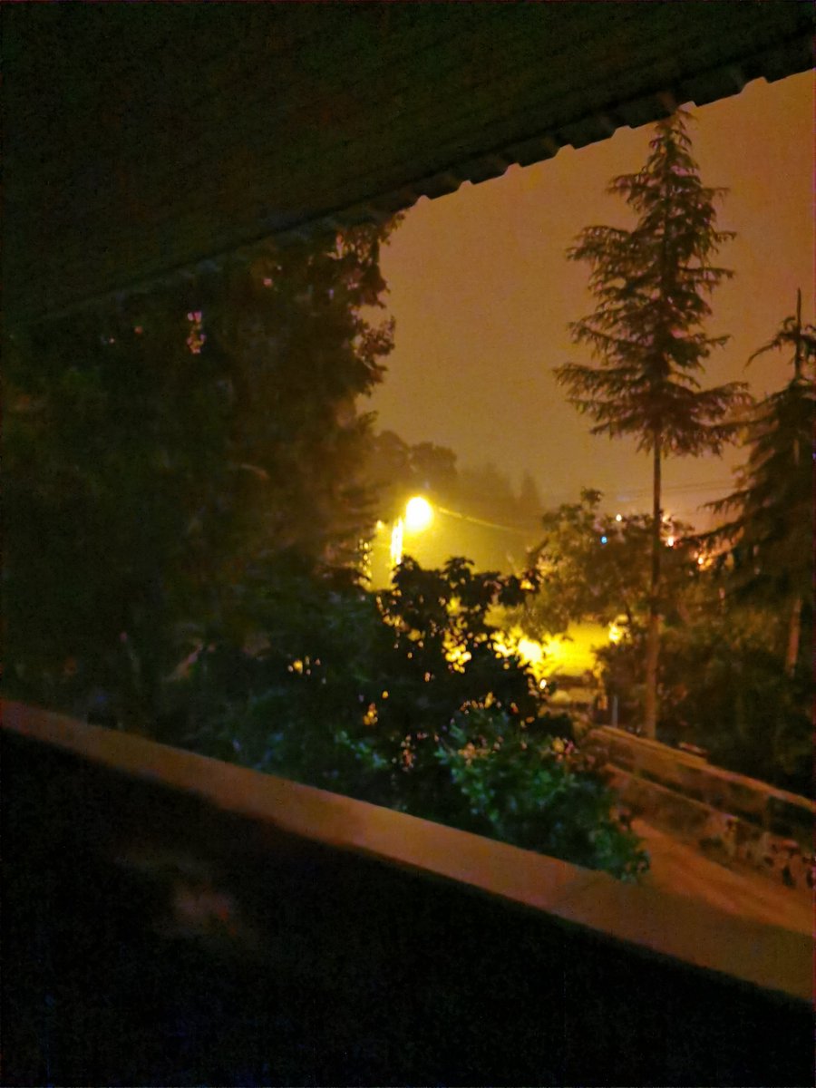 GullAlf's tweet photo. Bi sokak lambası ışığına bakarak oturmak iş gece https://t.co/Yo03NjD8bE