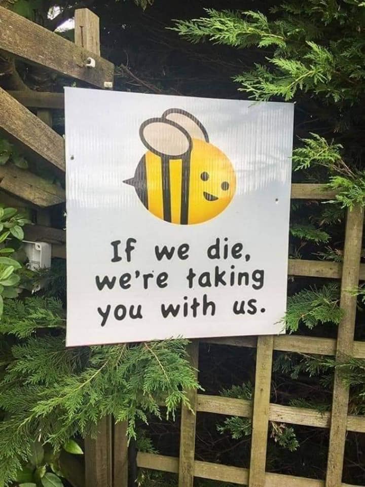 localnotail's tweet photo. Hello, please can you help @BeeFriendlyBrum get this petition over 100k?
Trying to #SaveTheBees by ending pesticide use in urban spaces 

We've got just under 3K to go &amp; we're handing it in to Birmingham City Council on Sunday

https://t.co/a8fLzTk25U https://t.co/nnWHxIe8O6