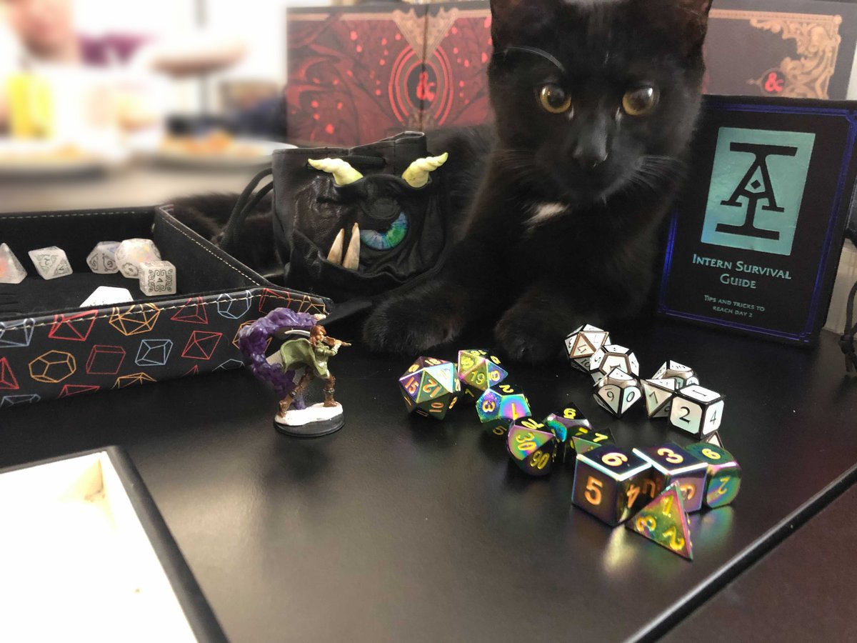 DnDBeyond's tweet photo. To all of the DM and Player kitties out there...we wish you a happy #NationalKittenDay! Do you have a #dnd kitten? Show them off in the comments! https://t.co/fJJPP8PbEf