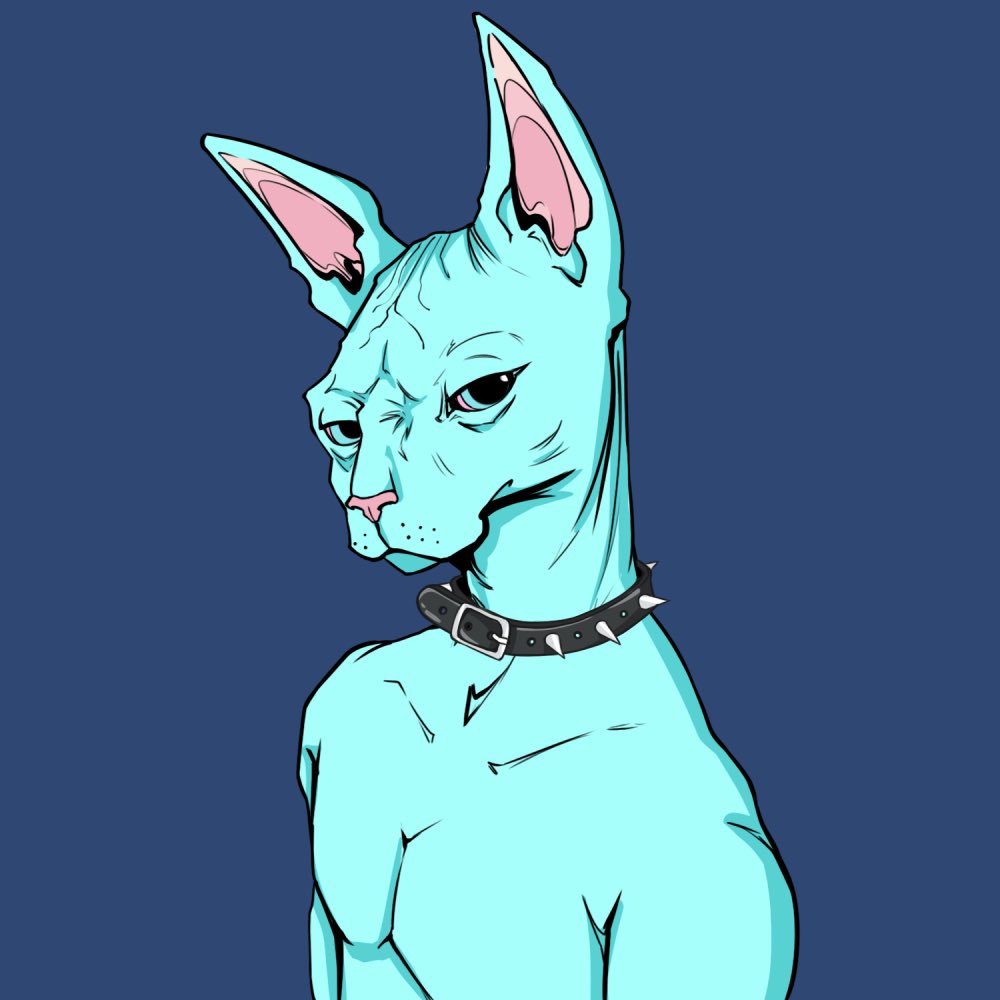 LakeRidenour's tweet photo. What @TheSphynxUS fam member wants to help an OG acquire OG doa? I have these bad boys for #SphynxSwap if anyone is feeling #NYAWISH for ya boi.โจ https://t.co/TVz0Gqa8B3