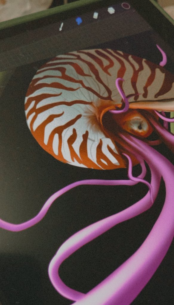 devralium's tweet photo. It's going to be a long night 🐙 https://t.co/HOpuDYYvuP