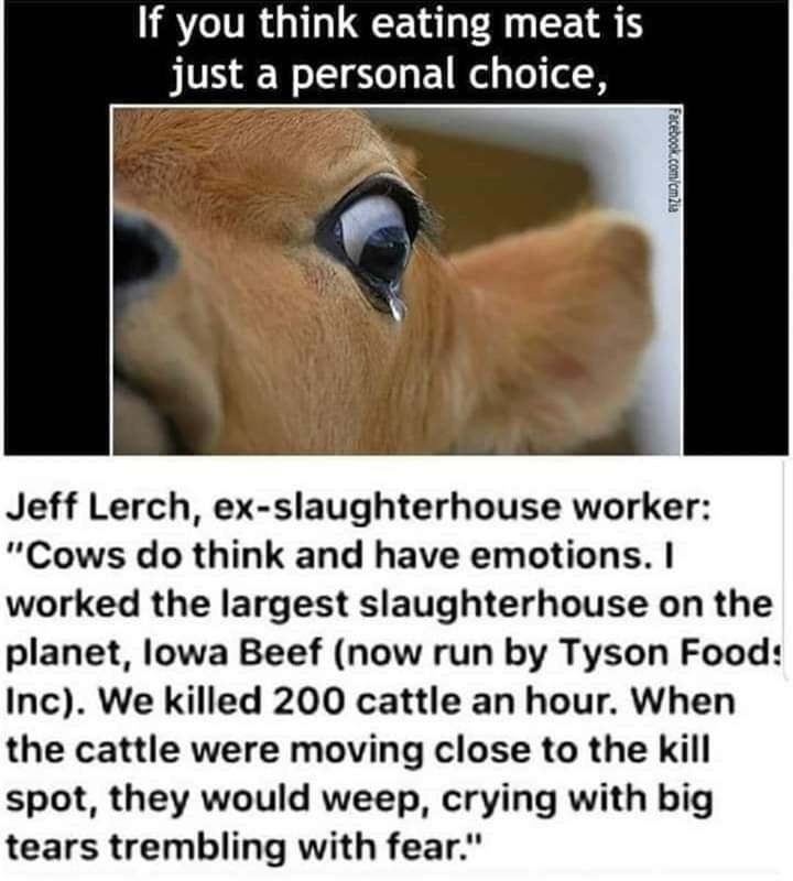 #vegan for the animals.🌱