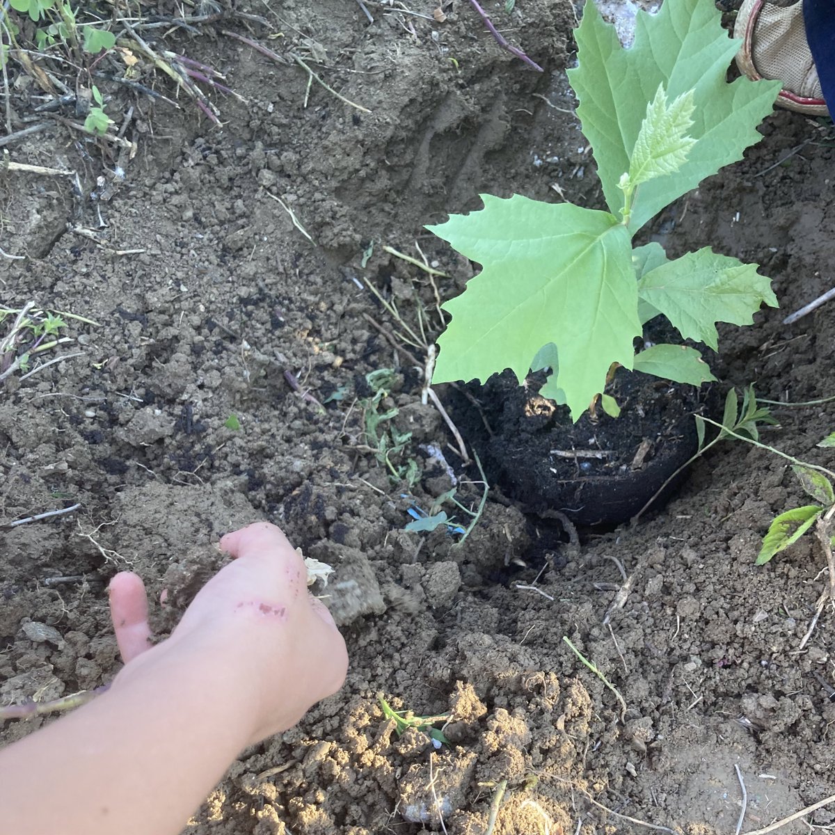 yigitak's tweet photo. Yuvadan uçtu; artık kendi ayakları üzerinde durma zamanı.🍃 https://t.co/7vePzMoe5s