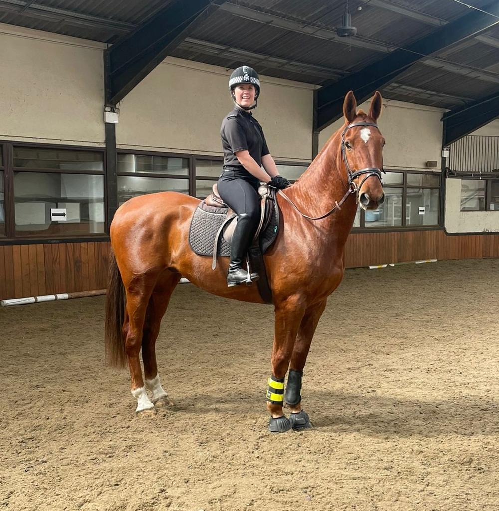 ASPoliceHorses tweet media