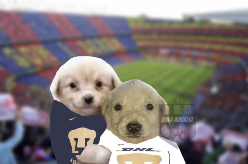 ElPete_MX's tweet photo. Allá los veo, mis amores, @PumasMX. https://t.co/pEnfD79KM1