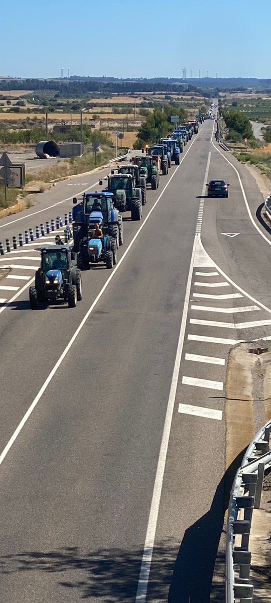 Marc_Corbella's tweet photo. Fertilitzants +97%, pinsos +29%, energia +122% i per colmo els conills ho arrasen TOT!! Segona tractorada a l'#urgell contra la plaga de conills! @PagesosGPS @pagesescat @lo_tractor_rosa @genterrapais @daniforcadell https://t.co/d0Gzt6TabE