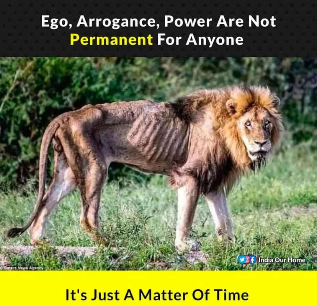 guptashish003's tweet image. 