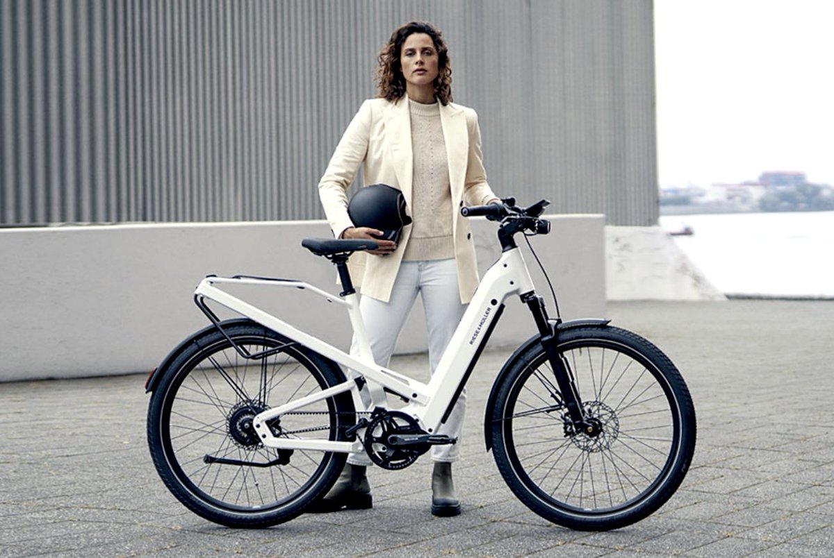 ebikes-international tweet media
