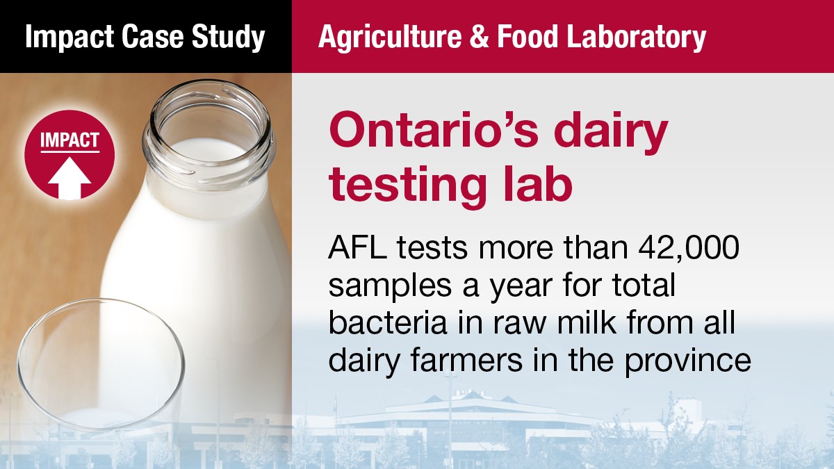 AgInnovationON's tweet photo. #DYK, the Agriculture &amp; Food Lab at #UofG, tests the raw milk from ALL dairy farmers in #Ontario to ensure the milk we drink is safe? Learn more in our AFL #ImpactCaseStudy: https://t.co/BgaTGgrOX8 https://t.co/CwnmX0vGDo