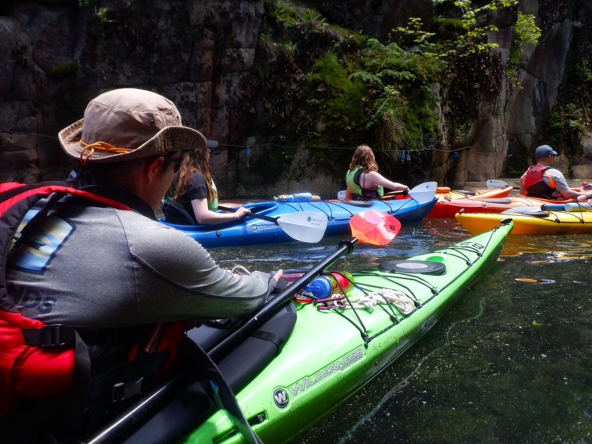 1000 IslandsKayaking tweet media