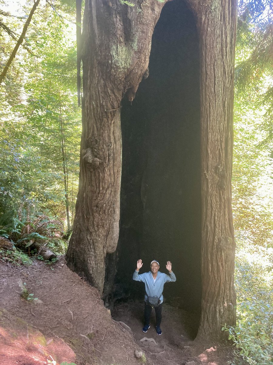 richocampo's tweet photo. Redwood Nature Trail - Brookings Oregon. Enjoying the great outdoors along the Oregon coast. https://t.co/2cuycsAHUC