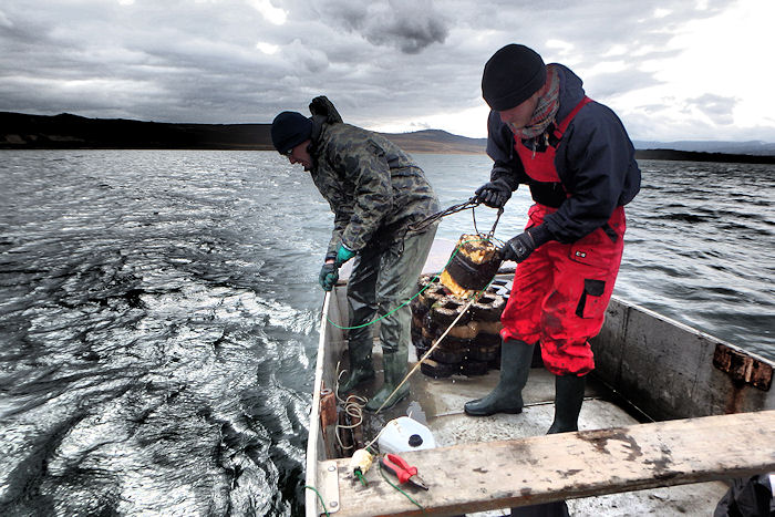 Ivan Jaric | from now on at @ivanjaric.bsky.social (@ivanjaric) on Twitter photo Influence of internal #seiche dynamics in #lakes on vertical movement of #fish - our study now published in #Freshwater #Biology onlinelibrary.wiley.com/doi/full/10.11… #fishsci #fishtelemetry #telemetry #animaltracking #pike #welscatfish #tench #rudd #ecology <a href="/MilanRiha1/">Milan Riha</a> <a href="/BiologyCentre/">Biology Centre CAS</a> Influence of internal #seiche dynamics in #lakes on vertical movement of #fish - our study now published in #Freshwater #Biology onlinelibrary.wiley.com/doi/full/10.11… #fishsci #fishtelemetry #telemetry #animaltracking #pike #welscatfish #tench #rudd #ecology <a href="/MilanRiha1/">Milan Riha</a> <a href="/BiologyCentre/">Biology Centre CAS</a>