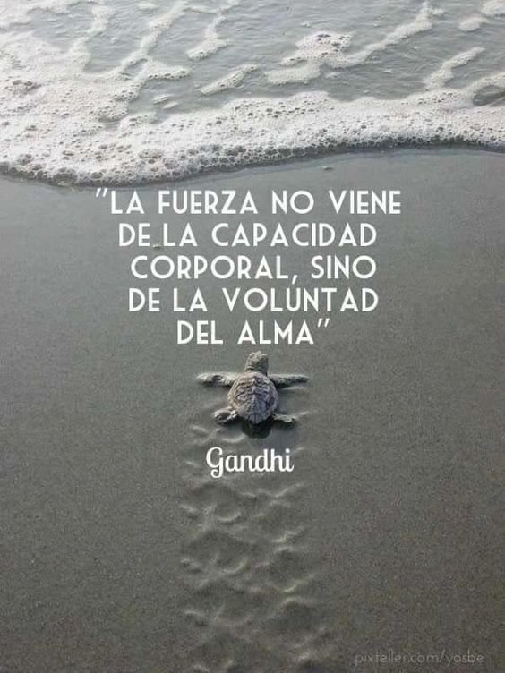 avanzandoacasa's tweet photo. https://t.co/zXajyccklr