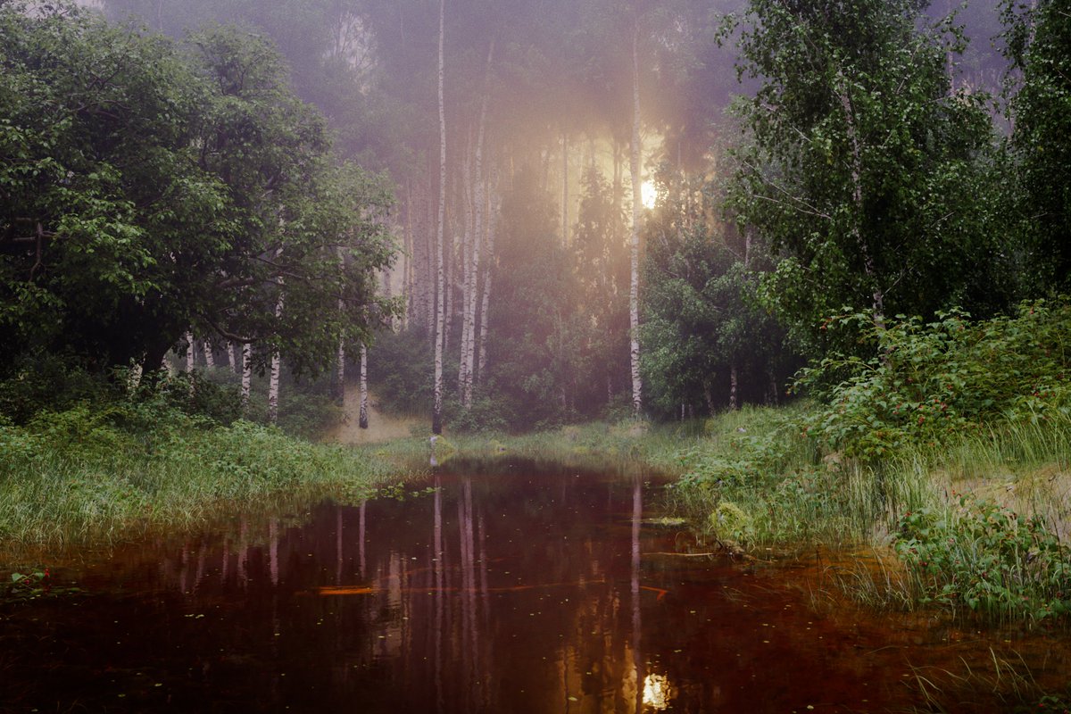 Some progress update on my peaceful nature scene in c4d &amp; <a href="/OTOY/">OTOY</a> octane. Still some blending, blocking out  &amp; corrections to do. Focused a lot on the water shader to really give it a slow moving river feel. I shall return to it in a day or two.