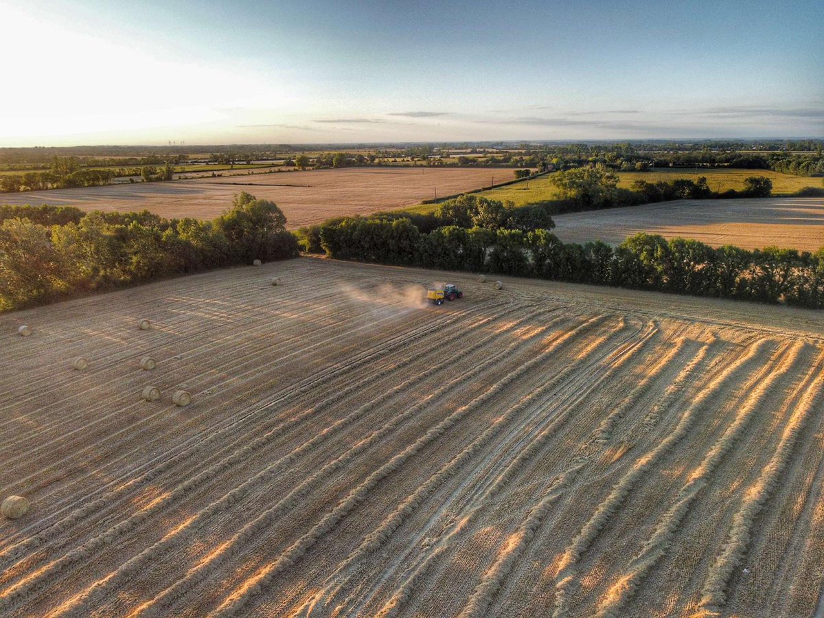 Qqs photos reçues ce jour de nos ambassadeurs <a href="/JusteEtVendeen/">Juste et Vendéen</a> <a href="/JusteDeLA/">Juste de Loire Atlantique</a> qui sont en pleine moisson de blé, orge, colza, etc. 
Dans qqs heures vous allez peut-être prendre la route des vacances, et les croiser sûrement 😉 Alors envoyez leur une pensée en mettant un ❤️ou🔁 
😘
