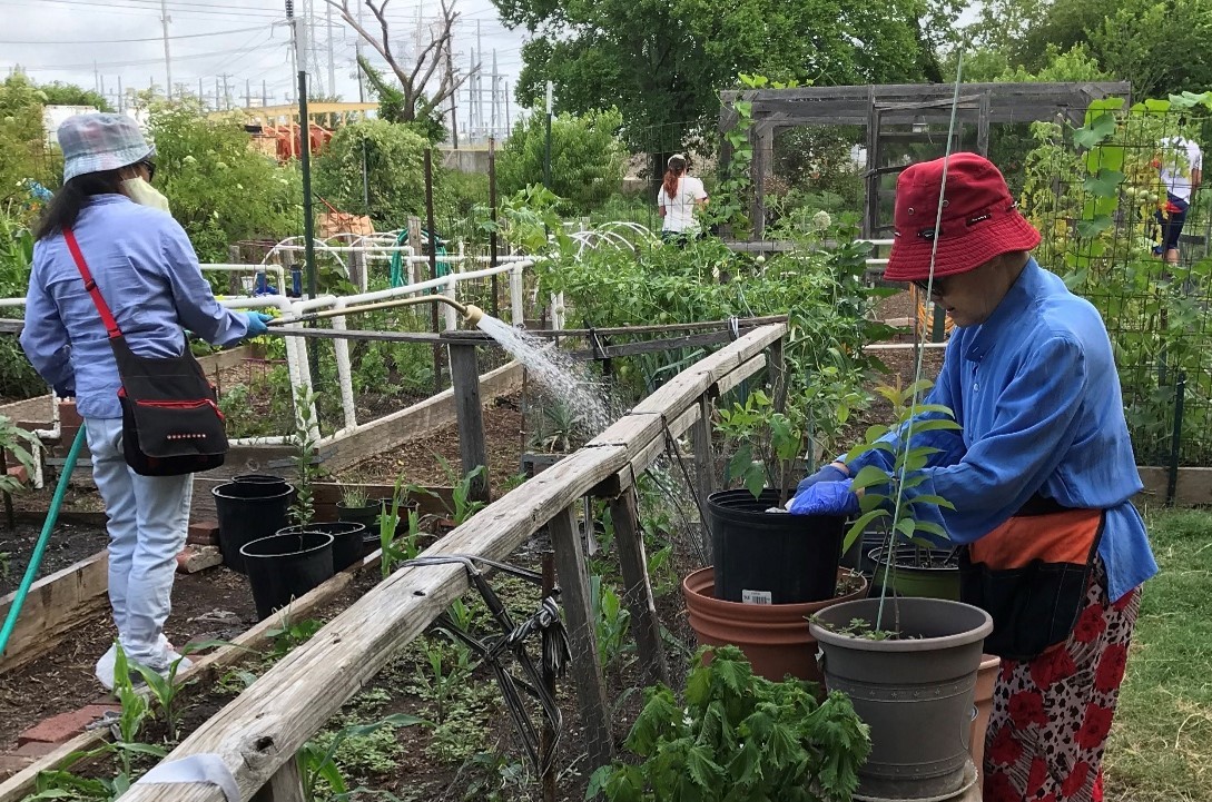 city-of-plano-on-twitter-sign-up-for-live-green-in-plano-s-monthly