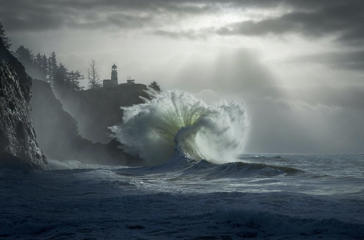 Nature Space (@naturespace_) on Twitter photo 