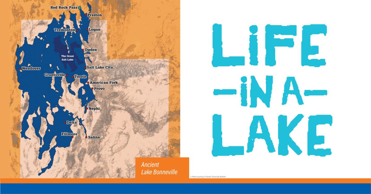 _CountyLibrary's tweet photo. A huge portion of Utah was once covered by Lake Bonneville, including everything in the Salt Lake Valley! 

Learn how this ancient lake has shaped where we live with Life in a Lake!

#LifeInALake #SaltLakeCity #GreatSaltLake https://t.co/yYuW04Izmm