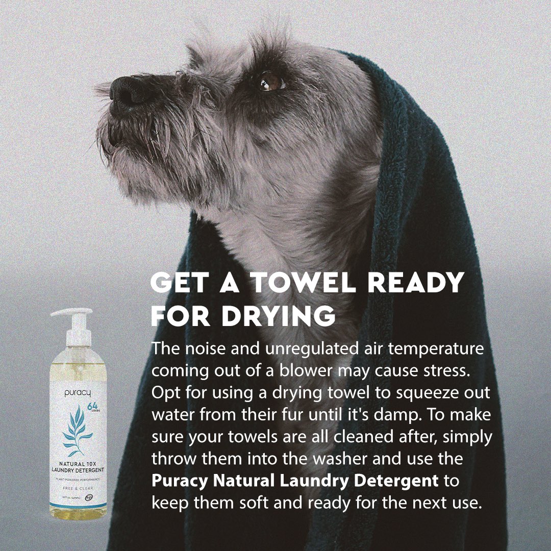 When days feel warm for you, your pets may be feeling worse. On top of keeping them hydrated, regulate their body’s temperature with a cooling bath that can provide overall nourishment to their skin and fur. Follow this guide and shop the essentials here: bit.ly/3NMhvji