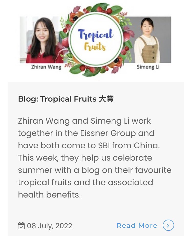sysbioire's tweet image. Just in time for the weekend! Check out our new #SBIblog from Zhiran Wang and @KellyLee_LSM, celebrating the flavours and health benefits of tropical fruit! 🥭🍈🥥🍍

ucd.ie/sbi/news/blog/…