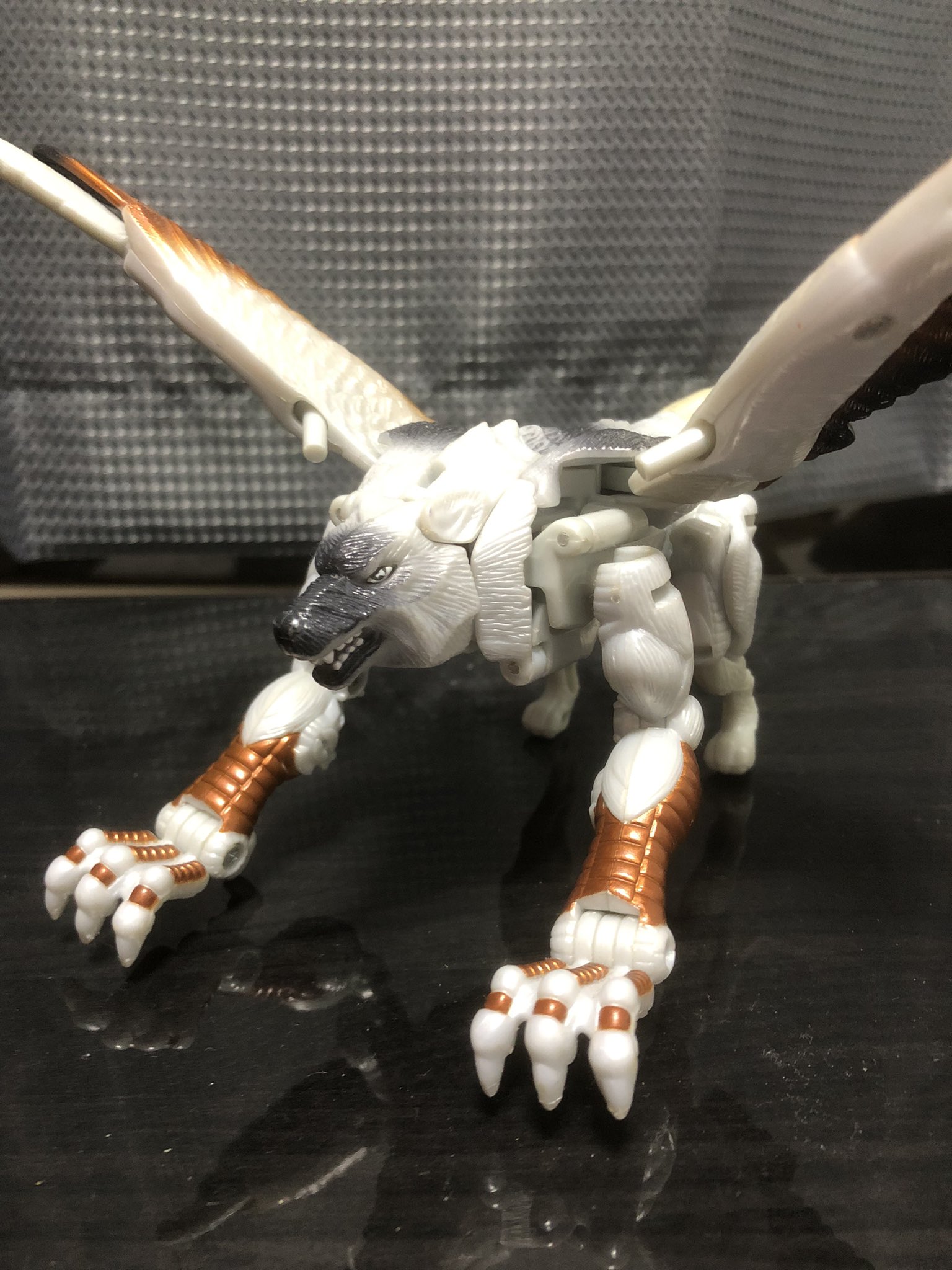 シルバーボルト Twitter Search Twitter