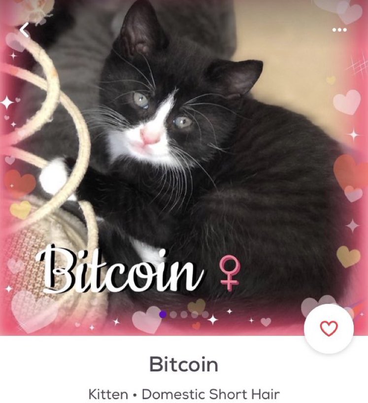 now that’s the kind of crypto im interested in