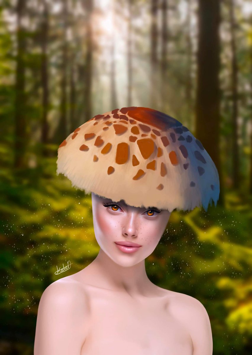 Kate Christine 🍄 tweet media