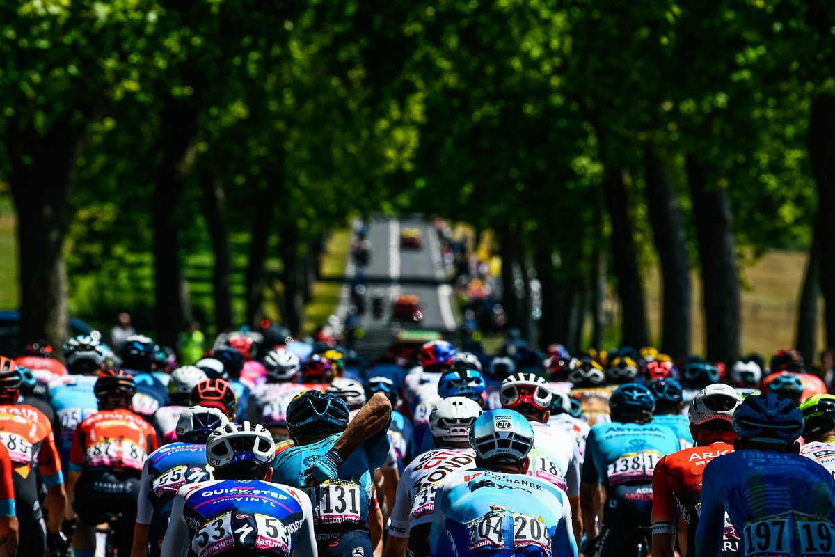 Le Tour de Franz tweet media