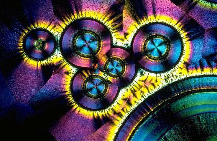 microscopic image of vitamin c crystals