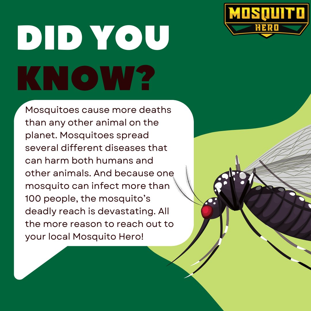 MosquitoHeroML's tweet photo. #TGIF Happy Friday everyone! Here is a little #mosquito fact for all of you! Be cautious this time of year and turn to the Mosquito Hero! https://t.co/dFfGpJSyxp