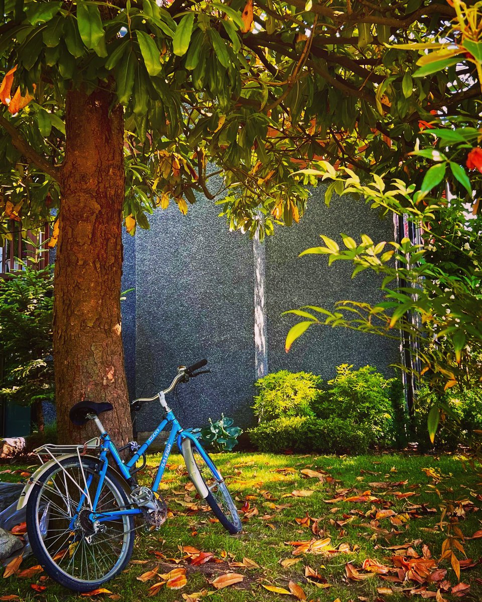 TheWorldEyeSee's tweet photo. Summertime…&amp; the Livin is Easy…#theworldaseyeseeit 🦋#capturethemoment #summervibes #streetphotography #takeiteasy https://t.co/8CDLBDCZlE