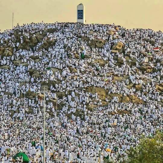 b_av0's tweet photo. ثم قال في خطبة الوداع:

"وإني مُباهٍ بكم الأمم يوم القيامة." ﷺ 🖤 https://t.co/t8ENAVmshi