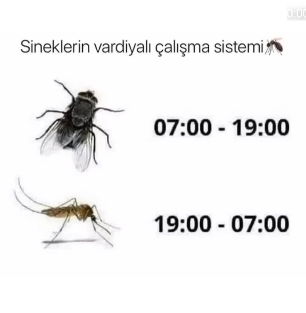 Dünyanın en doğru tespiti