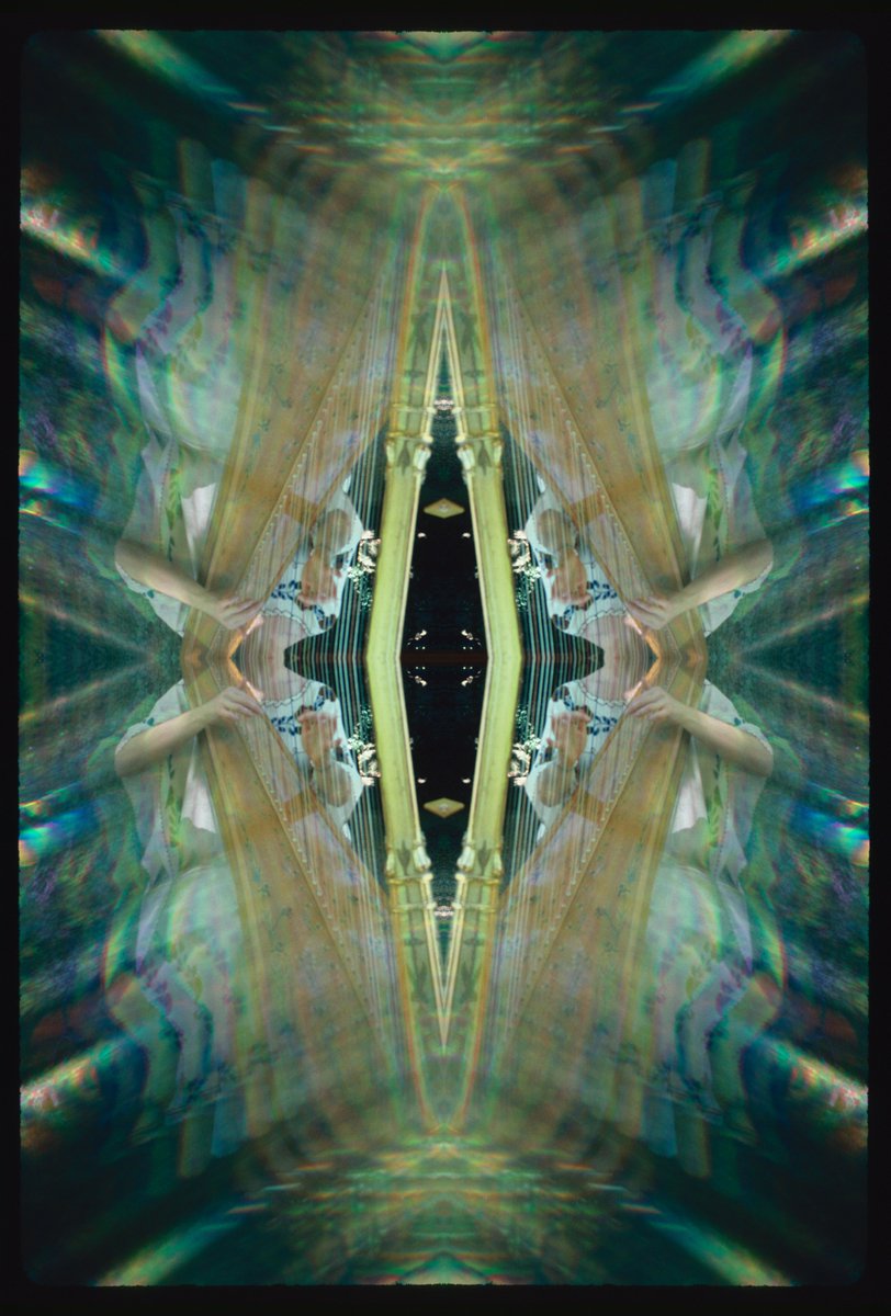 The Digital Archive tweet media