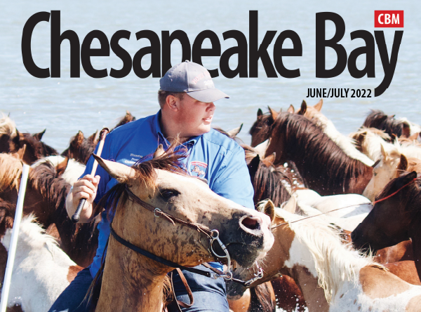 CBM July/Aug: Ride ‘Em, Saltwater Cowboys! - mailchi.mp/chesapeakebaym…