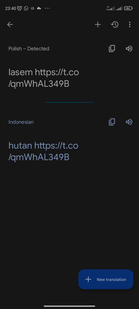 What a wonderful name, Lasem in another country is Forest.. Memang lasem ini secara geografis dekat dengan Gunung dan Hutan belantaranya.. Namun kini tak seindah dulu kala..