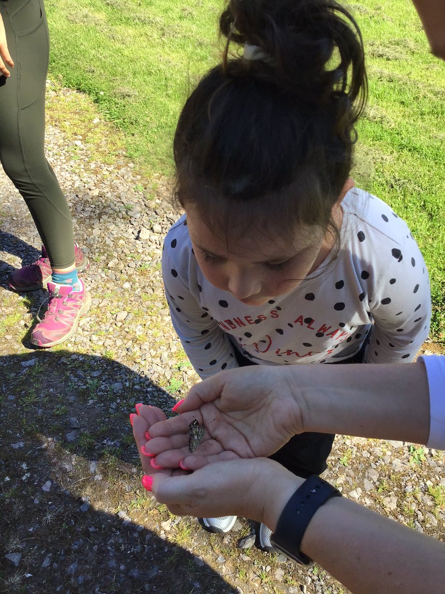 StanFoxClass's tweet photo. Releasing our butterflies at Forest School 🐛🦋 https://t.co/zAWvOwPQhI