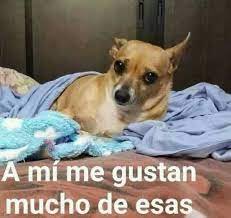 miotabascomx's tweet photo. — Andrés García en su testamento: “A mis hijos les dejaré de herencia pura verga.”

— Andrés García Jr.: https://t.co/94cHzHK1TH