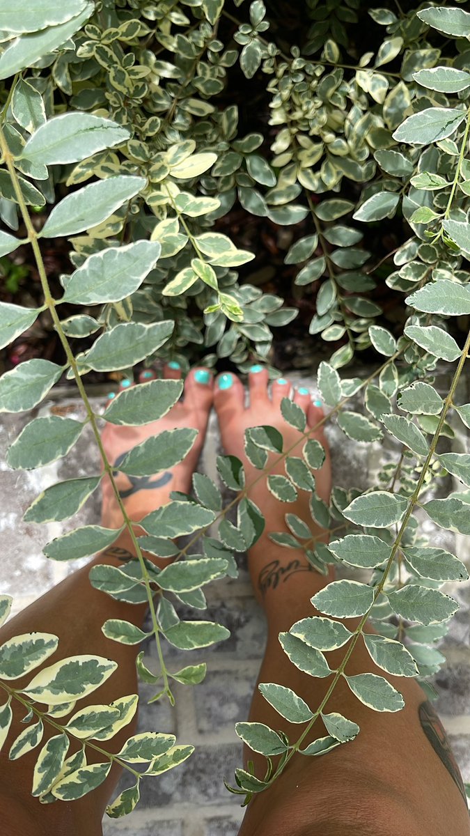 Walmartfeet23's tweet photo. #finddon #feet #feetfinder https://t.co/Ae4IwRaU99