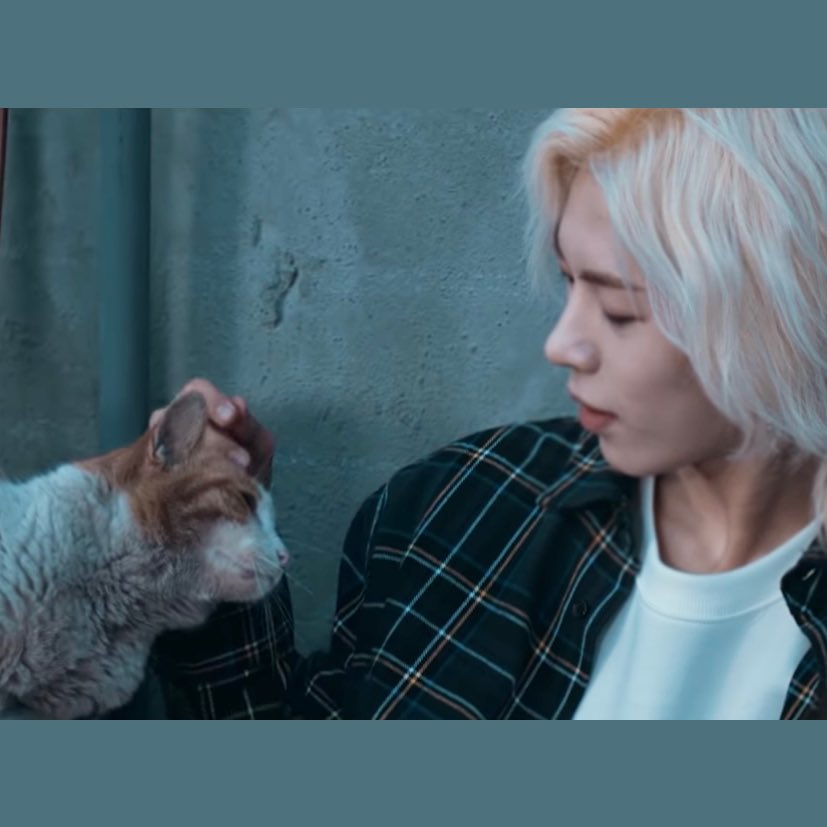 newkiddimal's tweet photo. 🦁 https://t.co/pYd4w39klB