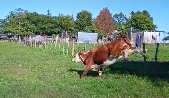 Martin Jaurena tweet media